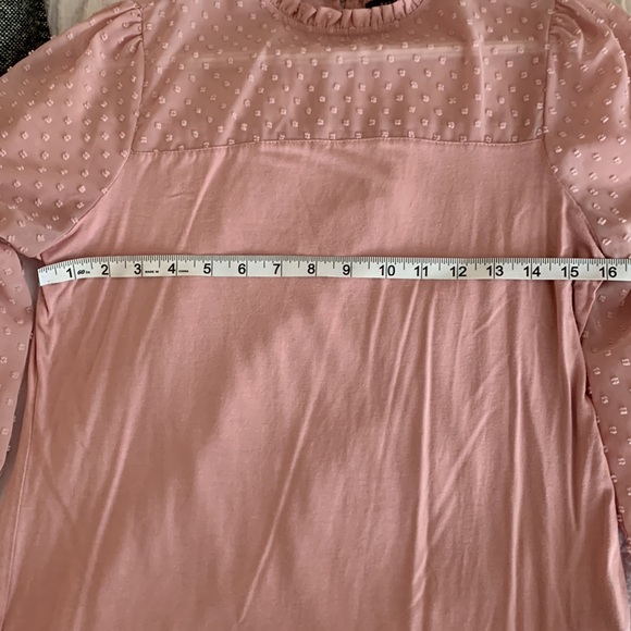 Suzy sheir - Picture 4 of 4